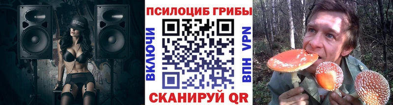 KRAKEN онион  Бирюсинск  Псилоцибиновые грибы Psilocybine cubensis 